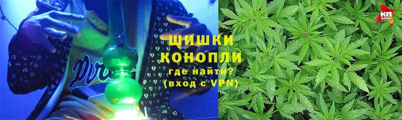 Шишки марихуана Amnesia  сайты даркнета официальный сайт  Майкоп  закладки 